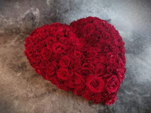 hart rode rozen
